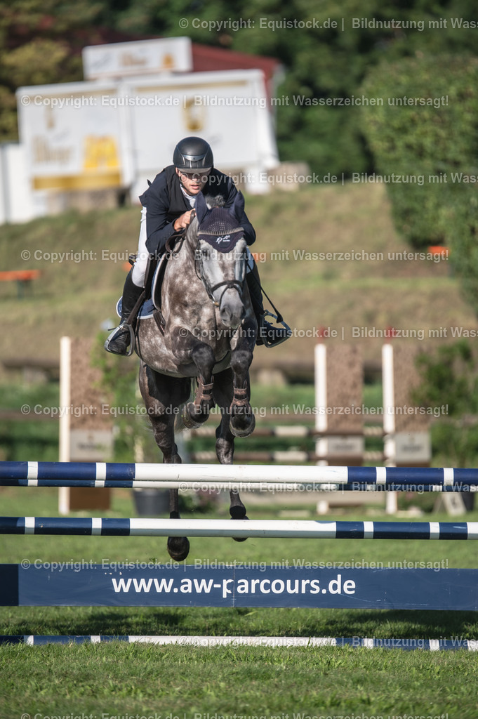 20230908_14-15_Springpferde-A_0021 | equistock