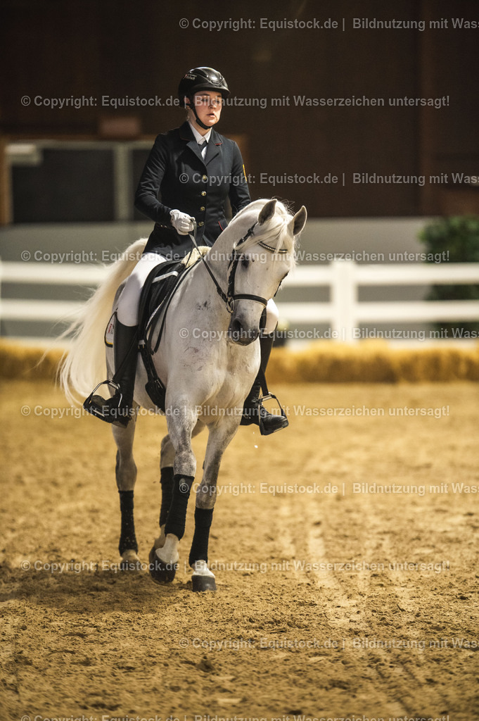 20240302_Hengstvorstellung_Marbach_TOMsPiC_1045 | equistock
