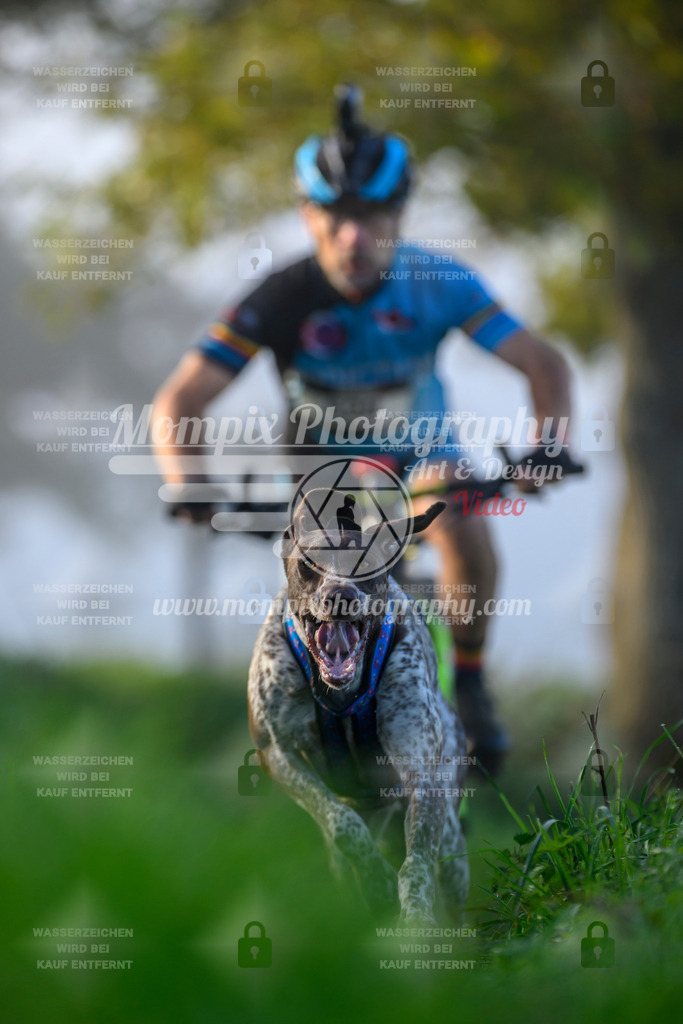 MompixPhotography_20TSB_E3_Bike-25 | PayLife
