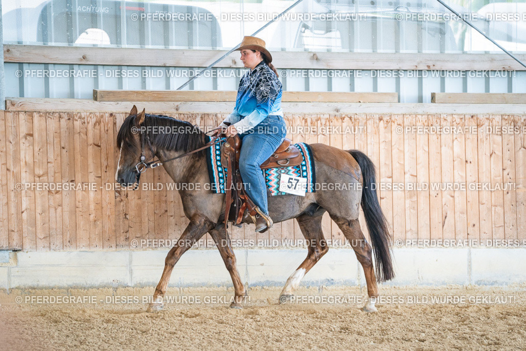 DSC03569 | Pferdegrafie