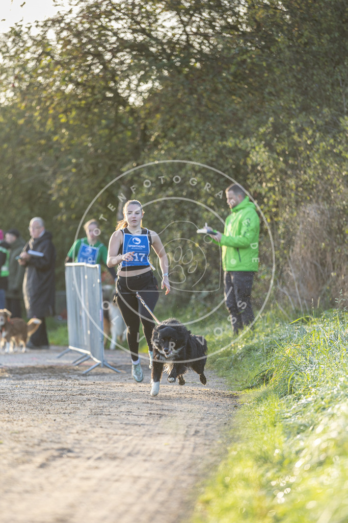 Pfotenfotografie.de_DV3A2464 | Hundefotografie, Tierfotograf, Pfotenfotografie, Fotoshooting Hund, Hunde Portrait, Hundesport, Hundeportraits, Heideshooting, Hunde, Sportfotograf, Hundefotograf, Turnierhundsport, THS, canicross - Realisiert mit Pictrs.com