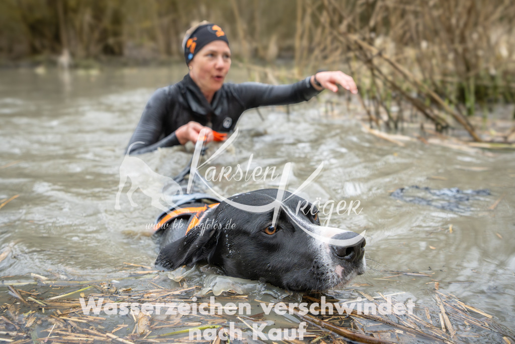 1345_ZZ92411 | kk-dogfotos