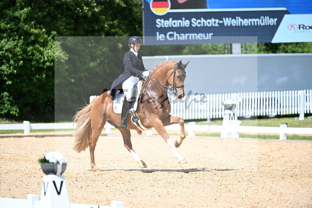 Schatz-Weihermueller_Le Charmeur_11252366 | hf-fotografie - Realizzato con Pictrs.com