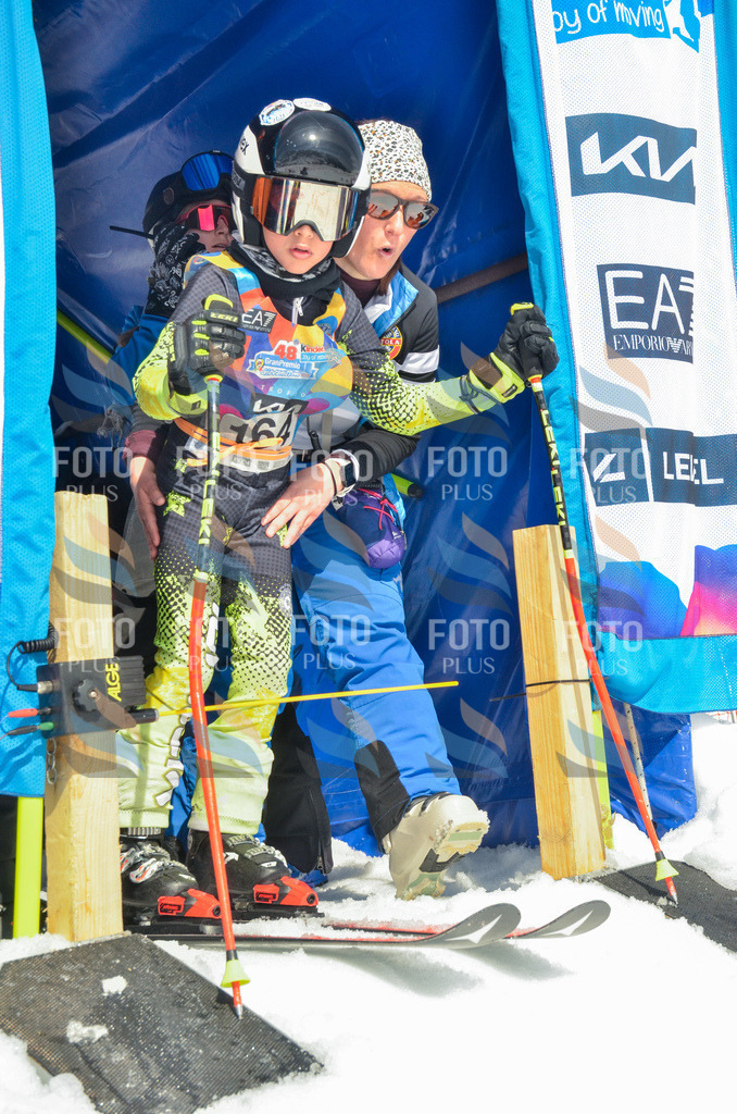 _ELE6472 | holidayphoto