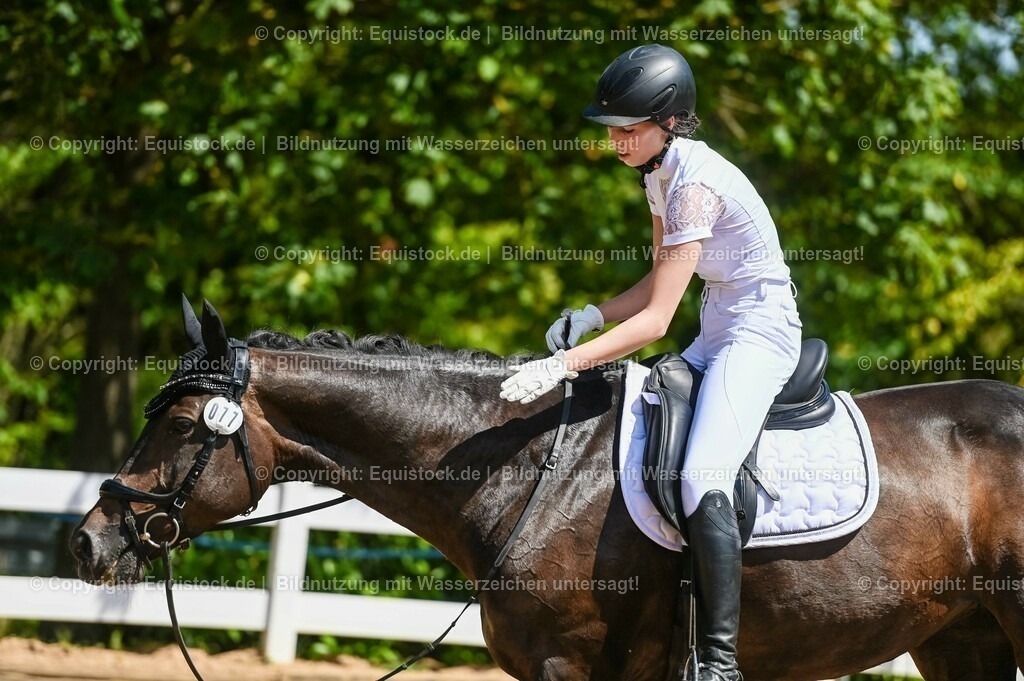 20230715_02_Dressurreiterprüfung Kl.L_0075 | equistock