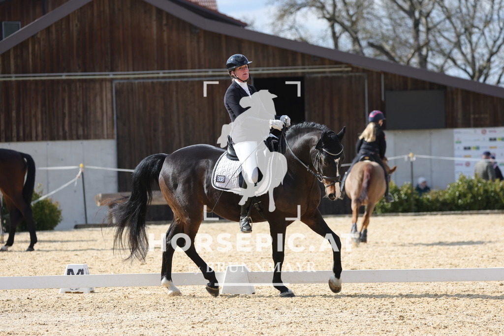 0P6A7687 | Willkommen bei Brunnmayr - Design & Fotografie – Ihrem Spezialisten für Reitturniere und Pferdeveranstaltungen in Oberösterreich, Salzburg und Bayern! Seit über 17 Jahren sind wir leidenschaftlich dabei.