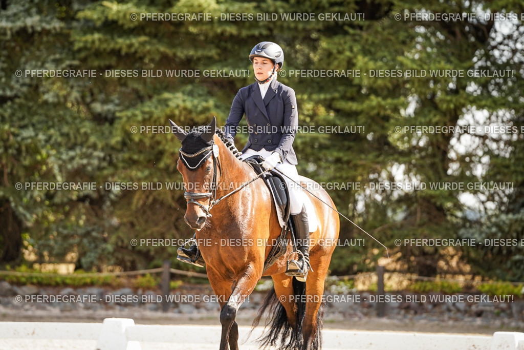 DSC00929 | Pferdegrafie