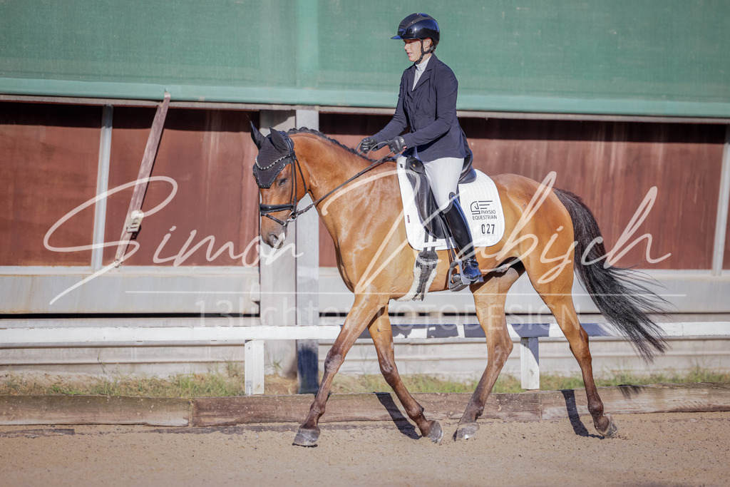 20250906-_3LI2829 | Tierfotografie Pferde, Hunde, Katzen, Haustiere.
Turnierfotografie Reitturniere, Reiten, Springreiten, Dressur in Hanau, dem Main-Kinzig-Kreis und dem Rhein-Main- Gebiet um Frankfurt