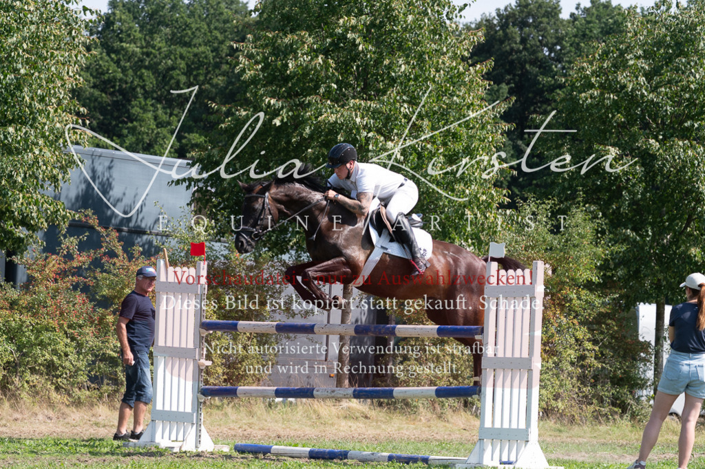 DSC_0814 | Pferde- und Turnierfotografie in Westsachsen. Pferdeportraits, Auftragszeichnungen und intuitive Kunst.