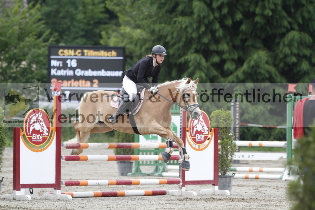 _MG_6486 | equestrian-live-com