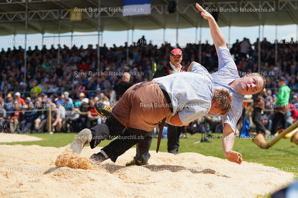 20220529-DSC08159 | René Burch leidenschaftlicher Fotograf aus Kerns in Obwalden.  Hier finden sie Sport, Landschaft und Natur Fotografie.
 - Realisiert mit Pictrs.com