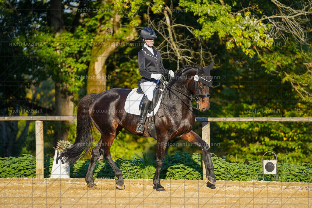 20221007-FAH00433 | Diessen am Ammersee, 2022, Dressur- und Springturnier, Reitsportbilder, Turnierfotografen Bayern, Pferdefotografen, Fotoagentur Herrmann, Turnierbilder
