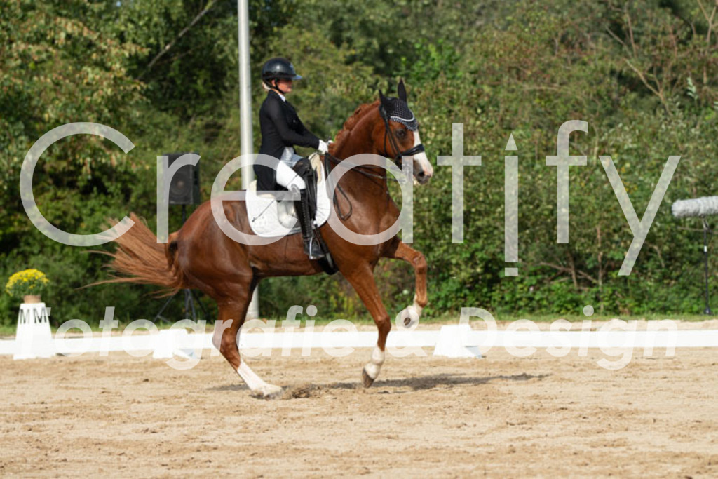 IMG_4310 | Creatify Fotografie