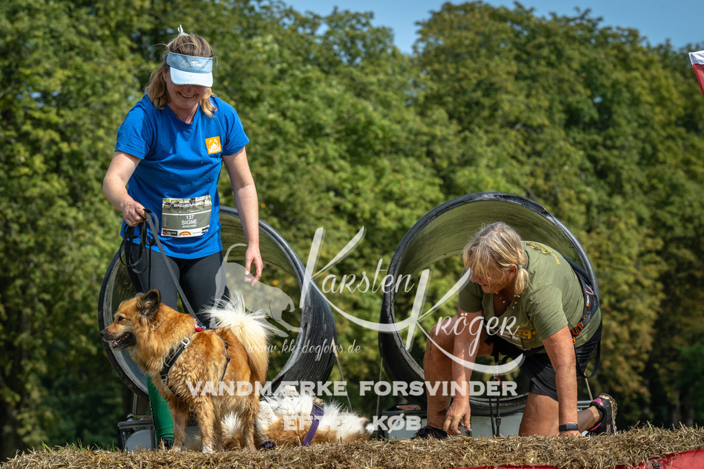 1321_ZZ93087 | kk-dogfotos