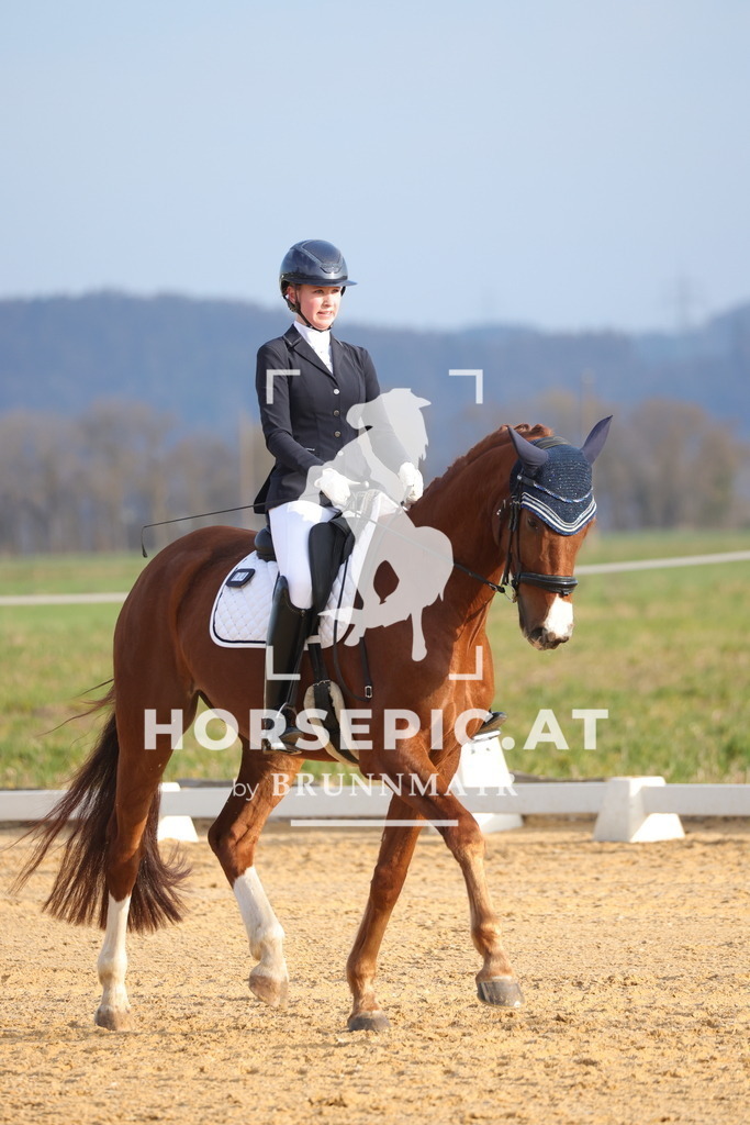 0P6A5958 | Willkommen bei Brunnmayr - Design & Fotografie – Ihrem Spezialisten für Reitturniere und Pferdeveranstaltungen in Oberösterreich, Salzburg und Bayern! Seit über 17 Jahren sind wir leidenschaftlich dabei.