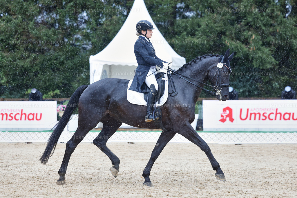 8_2-171-DRESSUR S_  -StoibPH-4496 | working equitationturnier fotograf videograf stoibphotography marixx film working equitation deutschland reitsport turnierfotografie eventfotografie equestrian events