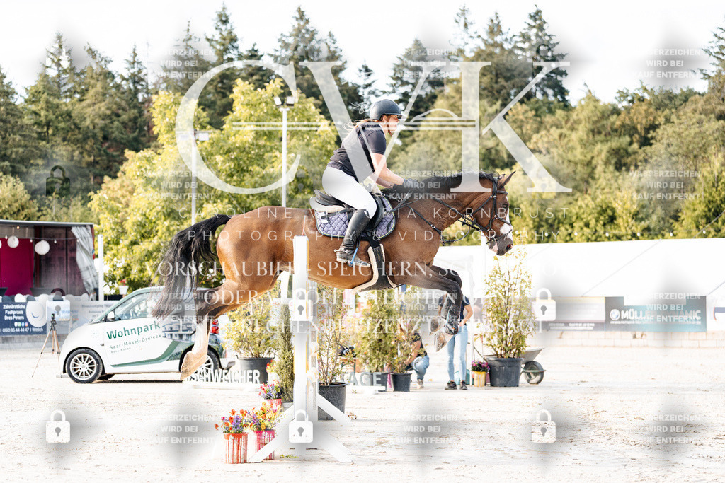 CK903232 | Turnierfotografie Pferdefotografie Trier Rheinland-Pfalz Pferdesport Reitsport Tierfotografie Sportfotografie Pferdevideo Pferdevideografie Equestrianvideography equestrianphotography  - Realisiert mit Pictrs.com