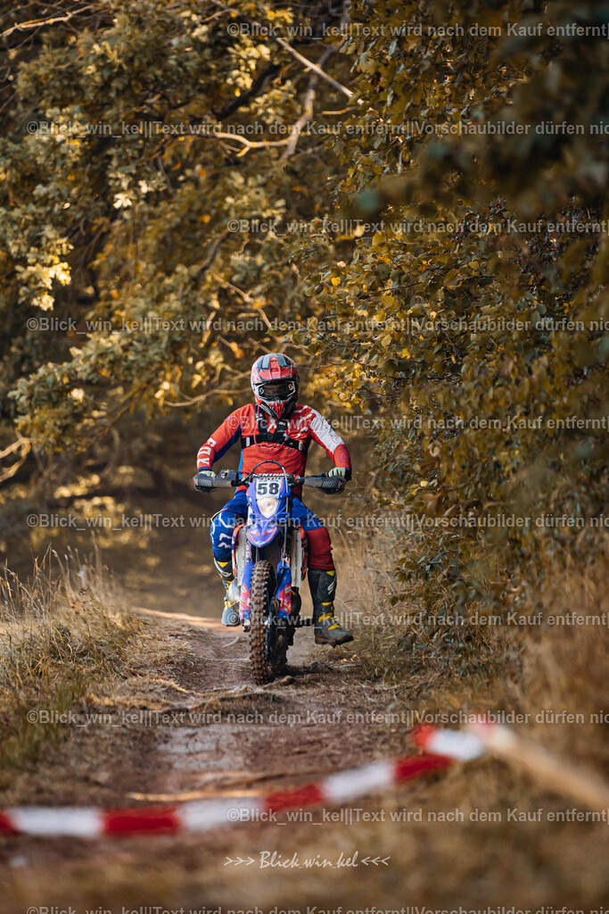 E68A6356 | blick_win_kel