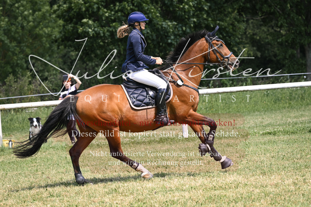DSC_0322 | Pferde- und Turnierfotografie in Westsachsen. Pferdeportraits, Auftragszeichnungen und intuitive Kunst.