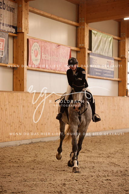 1J2A4224Alina Maack_ Karat du Scal__ Kn302_ Hohen Wieschendorf_ Glantz | Foto- und Videografie für alles rund ums Pferd. Hochwertige Bilder und Videos vom Spring- und Dressurreiten, Voltigieren & mehr. Jetzt aktuelle Veranstaltungen und Preise im Shop ansehen. - Realisiert mit Pictrs.com