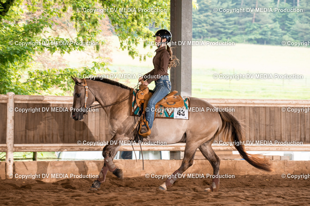 Erbach Tag 4-585 | dv-media-shop - Realisiert mit Pictrs.com