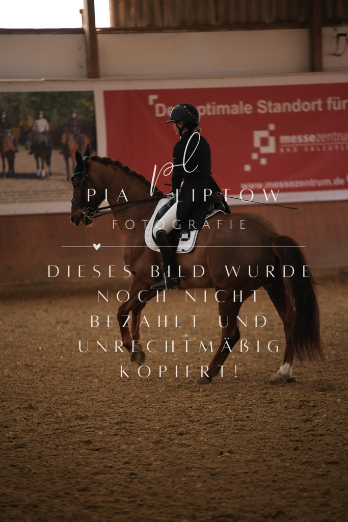 IMGT4784 | pl-fotografie