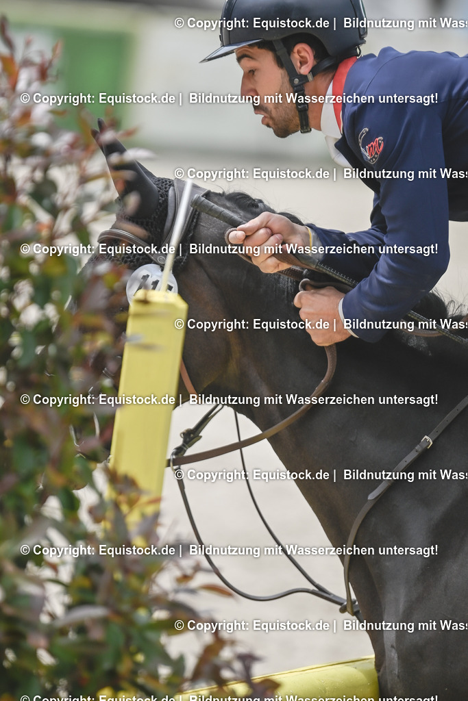 20230514_CCI4_Springen_0174 | equistock