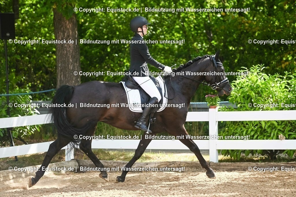 20230715_07_Dressurpferdeprfg. Kl.L_0171 | equistock