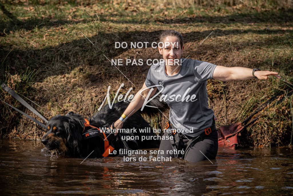 nelerasche_FS1330-1400_123 | nelerasche