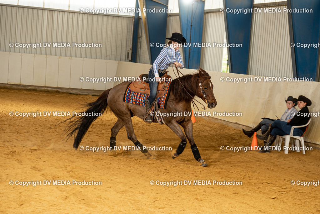 MIT00283 | dv-media-shop - Realisiert mit Pictrs.com