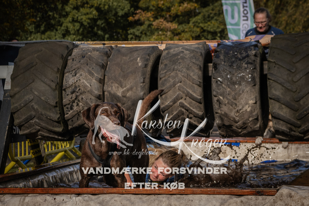 1401_ZZ93812 | kk-dogfotos