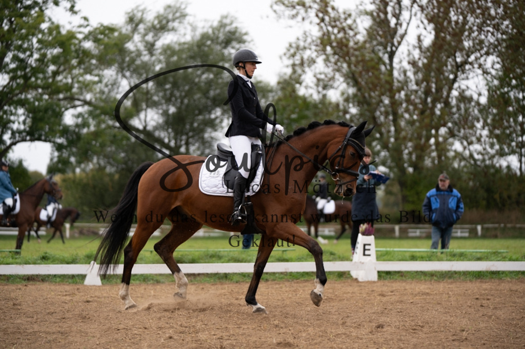 A7V05563 | Pferdefotograf