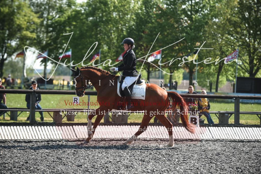DSC_8744 | Pferde- und Turnierfotografie in Westsachsen. Pferdeportraits, Auftragszeichnungen und intuitive Kunst.