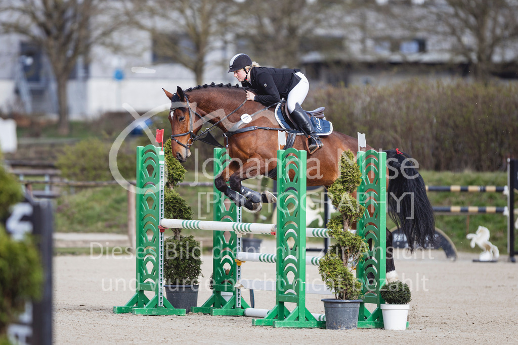 260404_Fruehlingsfest_SprPf-L-201 | Deine schönsten Turniermomente als professionelle Fotos! Entdecke hochwertige Pferdesport-Fotografie im Online-Shop. Jetzt Fotos finden & bestellen!