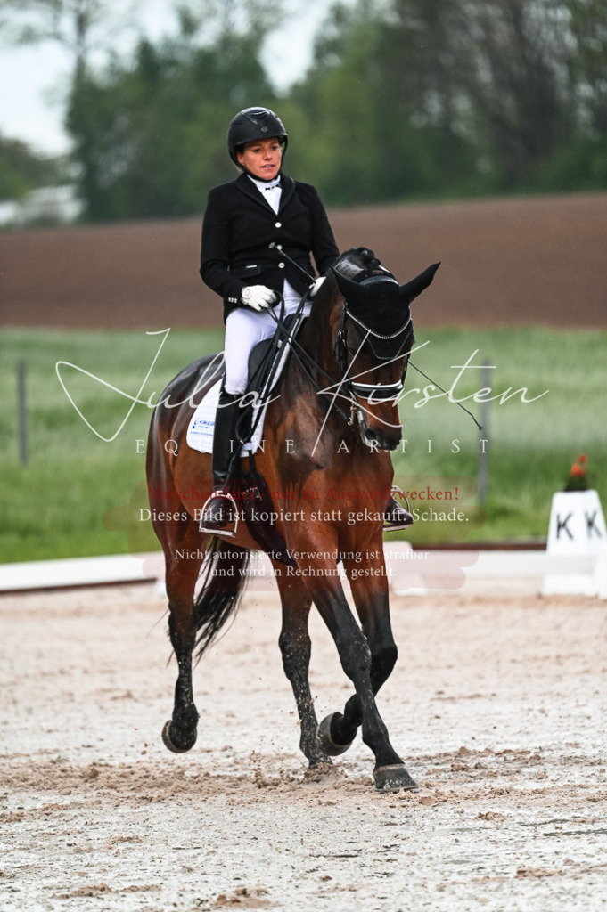 DSC_4220 | Pferde- und Turnierfotografie in Westsachsen. Pferdeportraits, Auftragszeichnungen und intuitive Kunst.