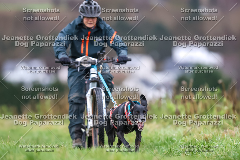 Dog Paparazzi - Herkules Race  2025-8 | Dog Paparazzi Jeanette Grottendiek Fotografie & Videografie