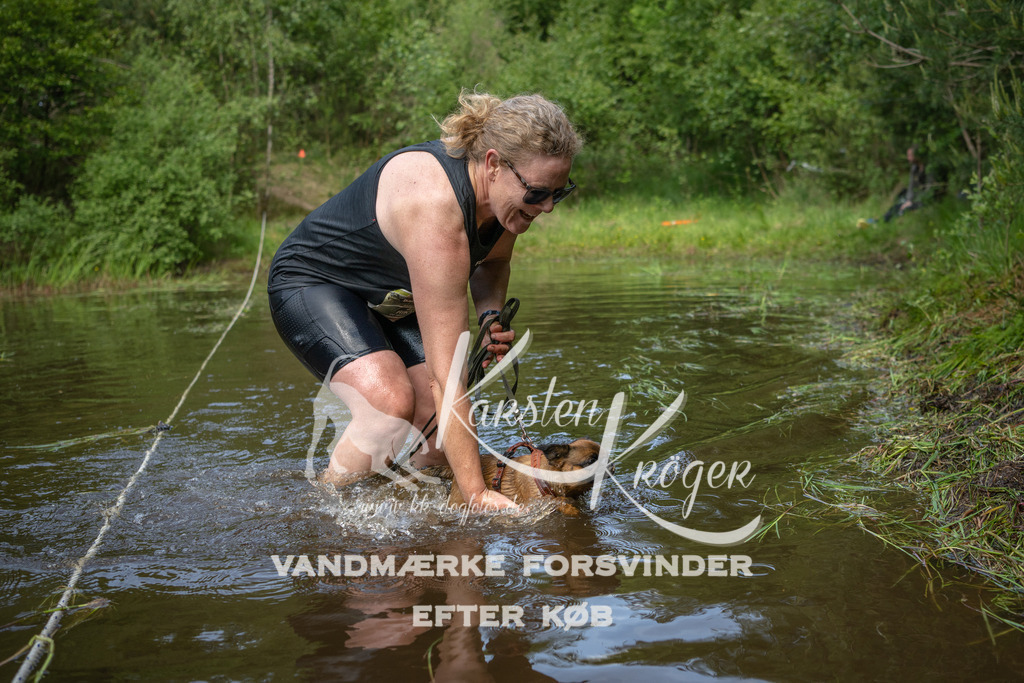 1253DKK993551 | kk-dogfotos