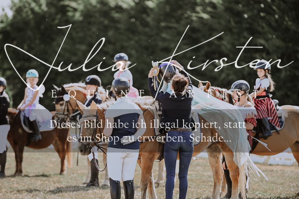 DSC_9067 | Pferde- und Turnierfotografie in Westsachsen. Pferdeportraits, Auftragszeichnungen und intuitive Kunst.