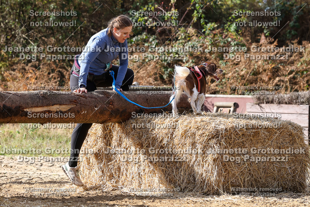Dog Paparazzi - Strongdog 10-25-5267 | Dog Paparazzi Jeanette Grottendiek Fotografie & Videografie - Realisiert mit Pictrs.com