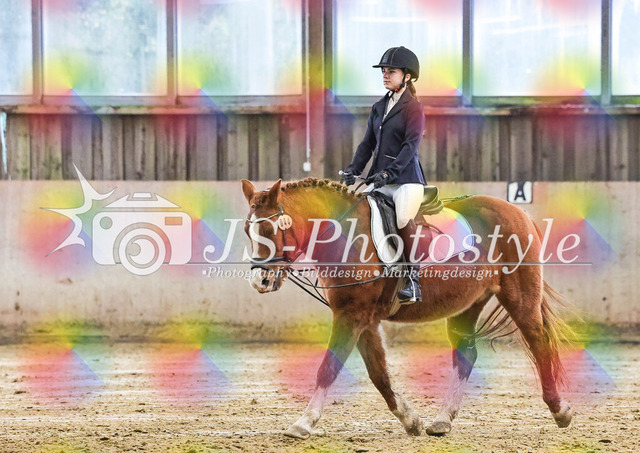20251129_PTAH_E-Dressur_3.Abt-3 | JS-Photostyle - Sport-/Portrait- & Eventfotografie