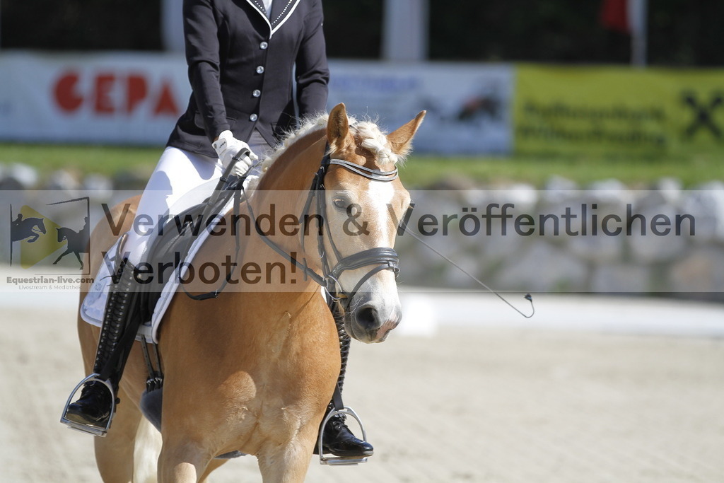 _MG_6471 | equestrian-live-com