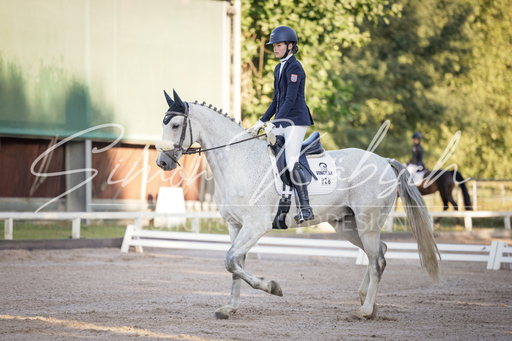 20250906-_3LI2628 | Tierfotografie Pferde, Hunde, Katzen, Haustiere.
Turnierfotografie Reitturniere, Reiten, Springreiten, Dressur in Hanau, dem Main-Kinzig-Kreis und dem Rhein-Main- Gebiet um Frankfurt
