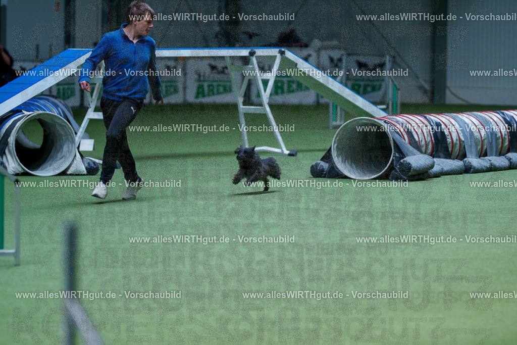 @allesWIRTHgut_Tierfotografie - www.allesWIRTHgut.de - 2604251304-7R503573 | Professionelle Tierfotografie in Mönchengladbach von Daniel Wirth (allesWIRTHgut). Liebevolle & natürliche Bilder von Hunden & Katzen für unvergessliche Erinnerungen.