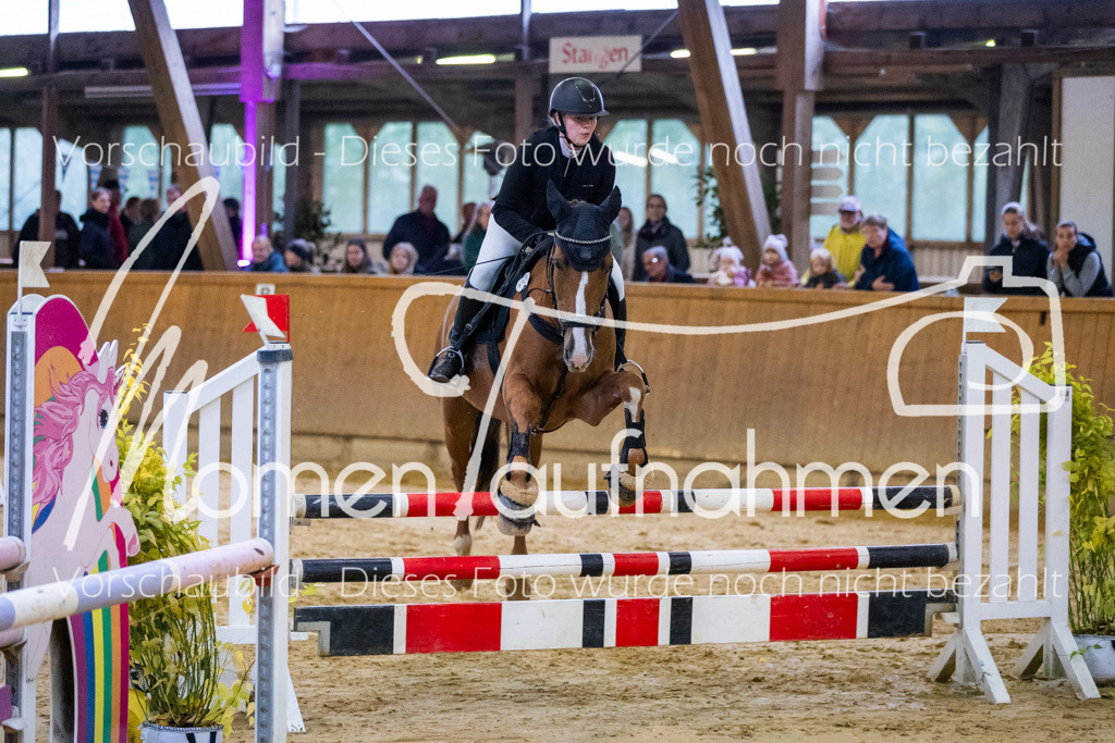 Sth-A-Spr.m.st.A.-018 | MomenTaufnahmen Pferdesportfotos