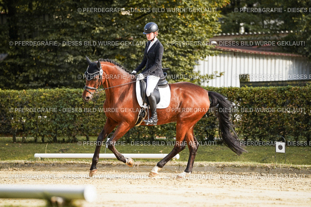 DSC05740 | Pferdegrafie