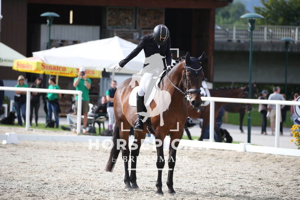 DL2Q4871 | Willkommen bei Brunnmayr - Design & Fotografie – Ihrem Spezialisten für Reitturniere und Pferdeveranstaltungen in Oberösterreich, Salzburg und Bayern! Seit über 17 Jahren sind wir leidenschaftlich dabei.