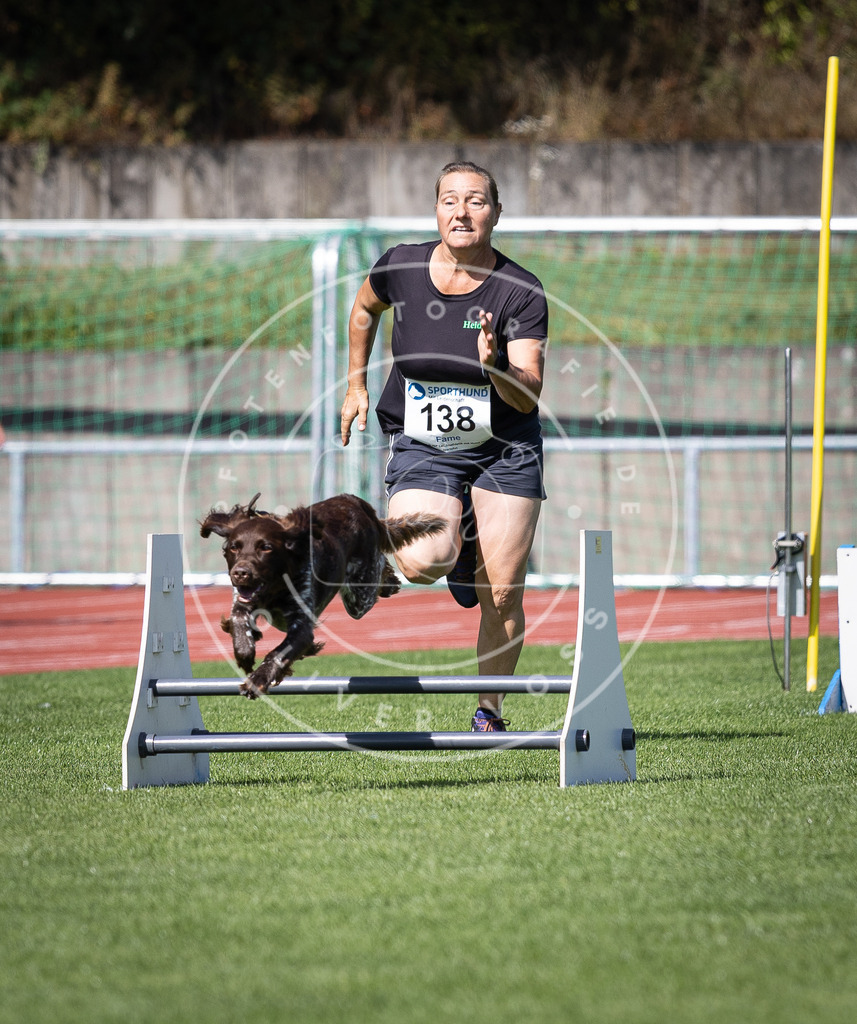 Pfotenfotografie_DV3A8996 | Hundefotografie, Tierfotograf, Pfotenfotografie, Fotoshooting Hund, Hunde Portrait, Hundesport, Hundeportraits, Heideshooting, Hunde, Sportfotograf, Hundefotograf, Turnierhundsport, THS,  - Realisiert mit Pictrs.com