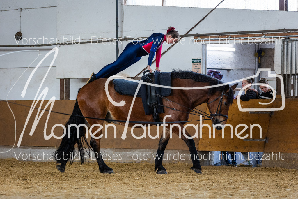 SS-Maxi-100 | MomenTaufnahmen Pferdesportfotos