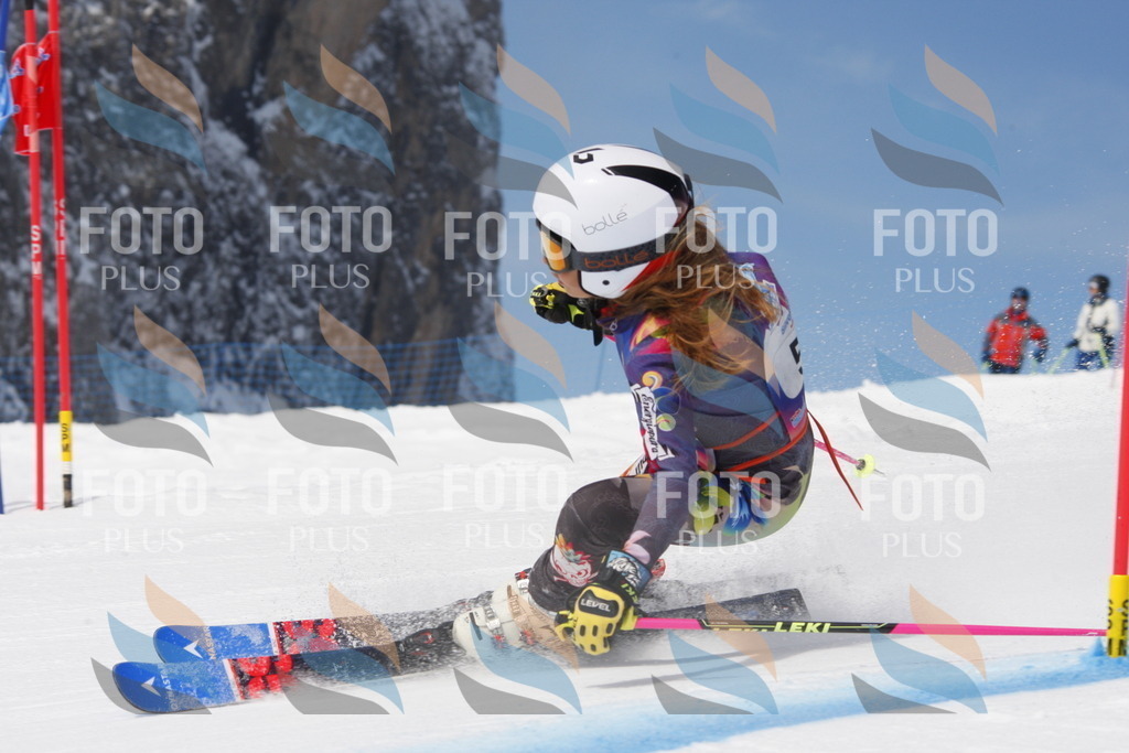 _W1G0825 | holidayphoto