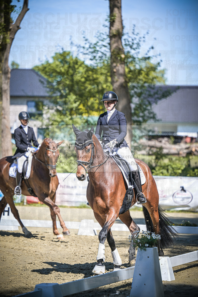 DOS_6705 | Entdecke hochwertige Reitturnierfotos von Foto Oger. Professionell, emotional und authentisch – jetzt Lieblingsmomente im Shop bestellen.Deutschlandweite Turnierfotografie. - Realisiert mit Pictrs.com